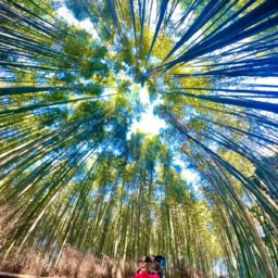 インド先生3月ブログ⑩