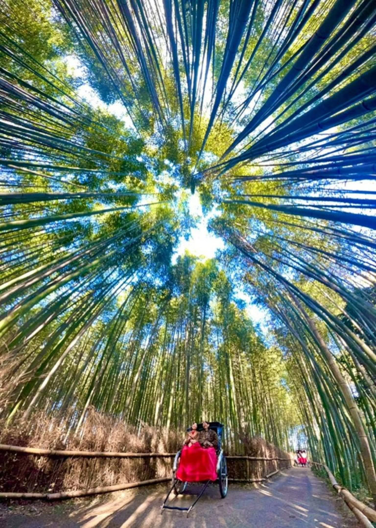 インド先生3月ブログ⑩