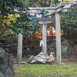 インド先生3月ブログ⑪