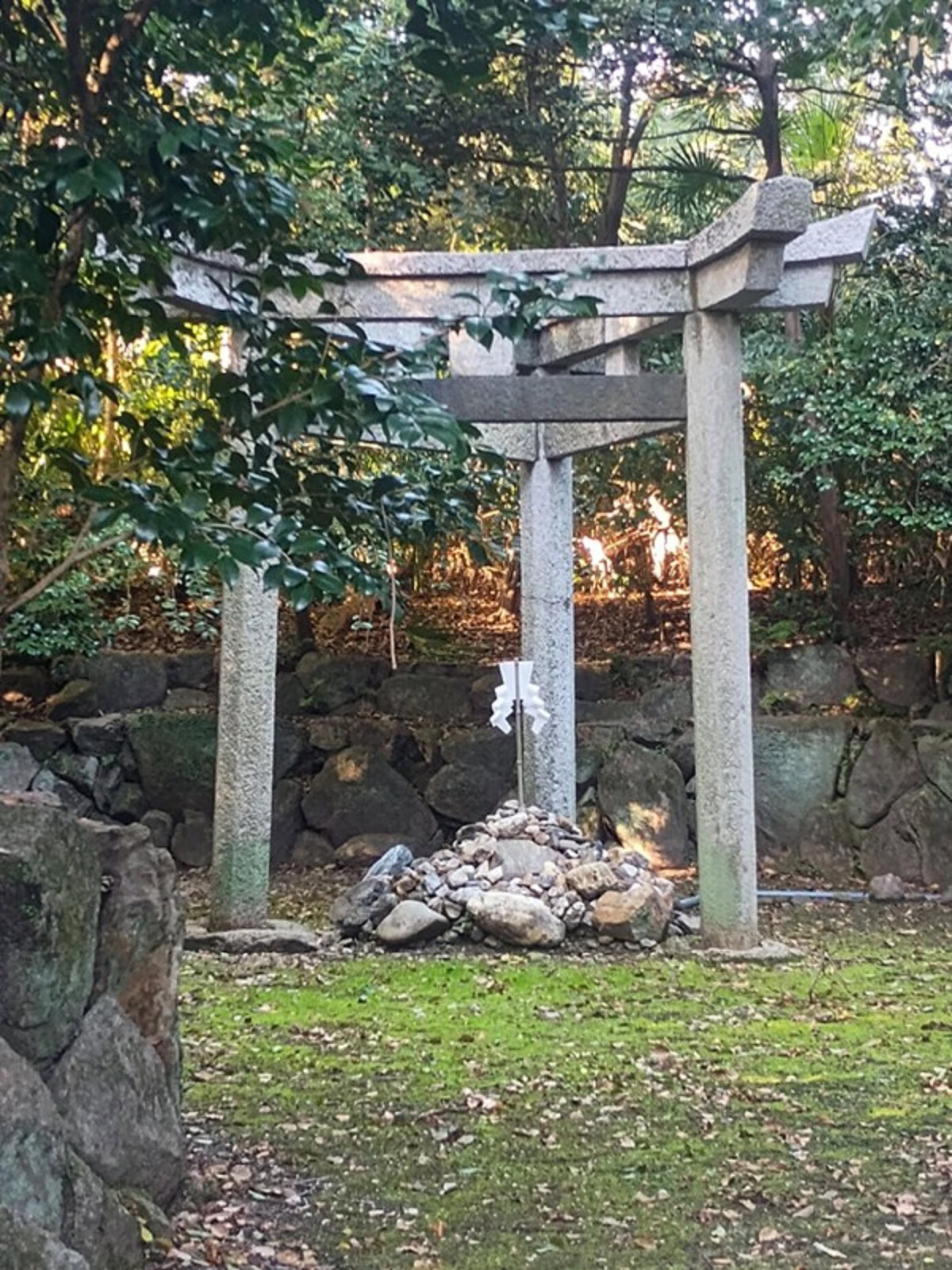 インド先生3月ブログ⑪