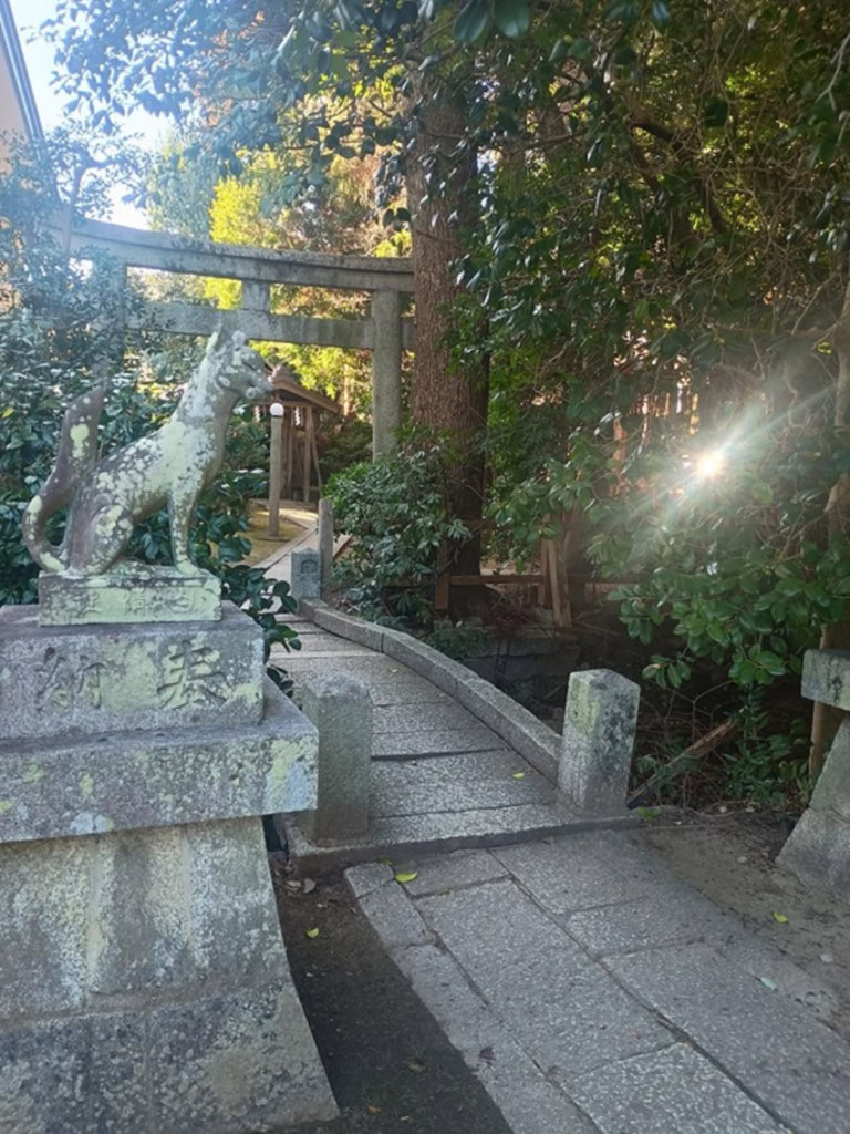 インド先生3月ブログ⑫