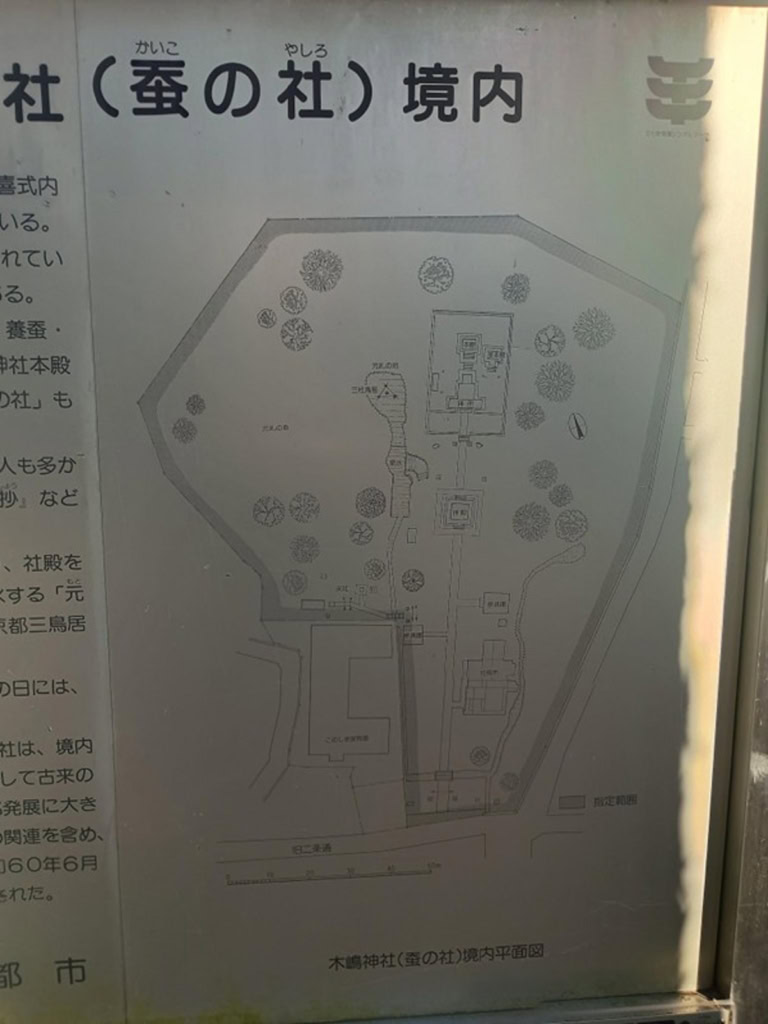 インド先生3月ブログ⑬