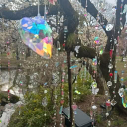 インド先生3月ブログ③