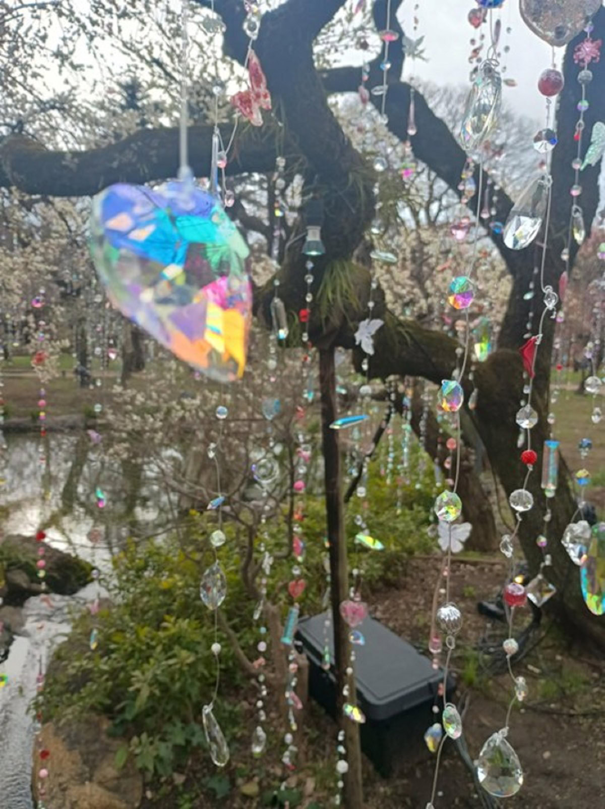 インド先生3月ブログ③