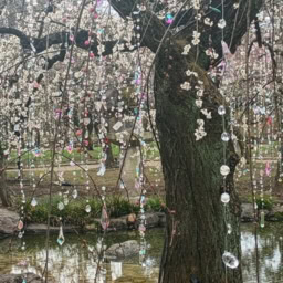 インド先生3月ブログ④