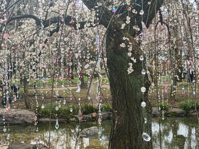 インド先生3月ブログ④