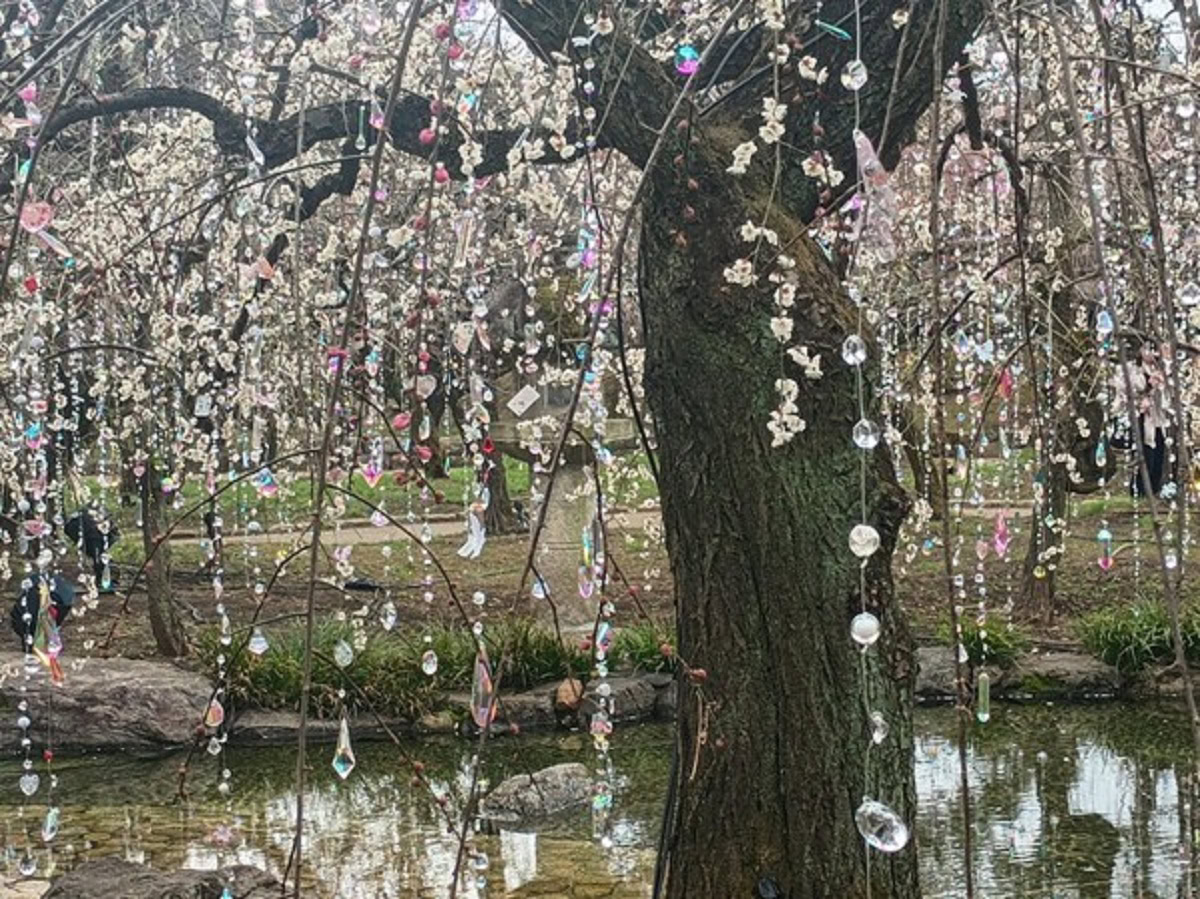 インド先生3月ブログ④