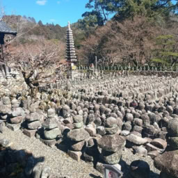 インド先生3月ブログ⑥