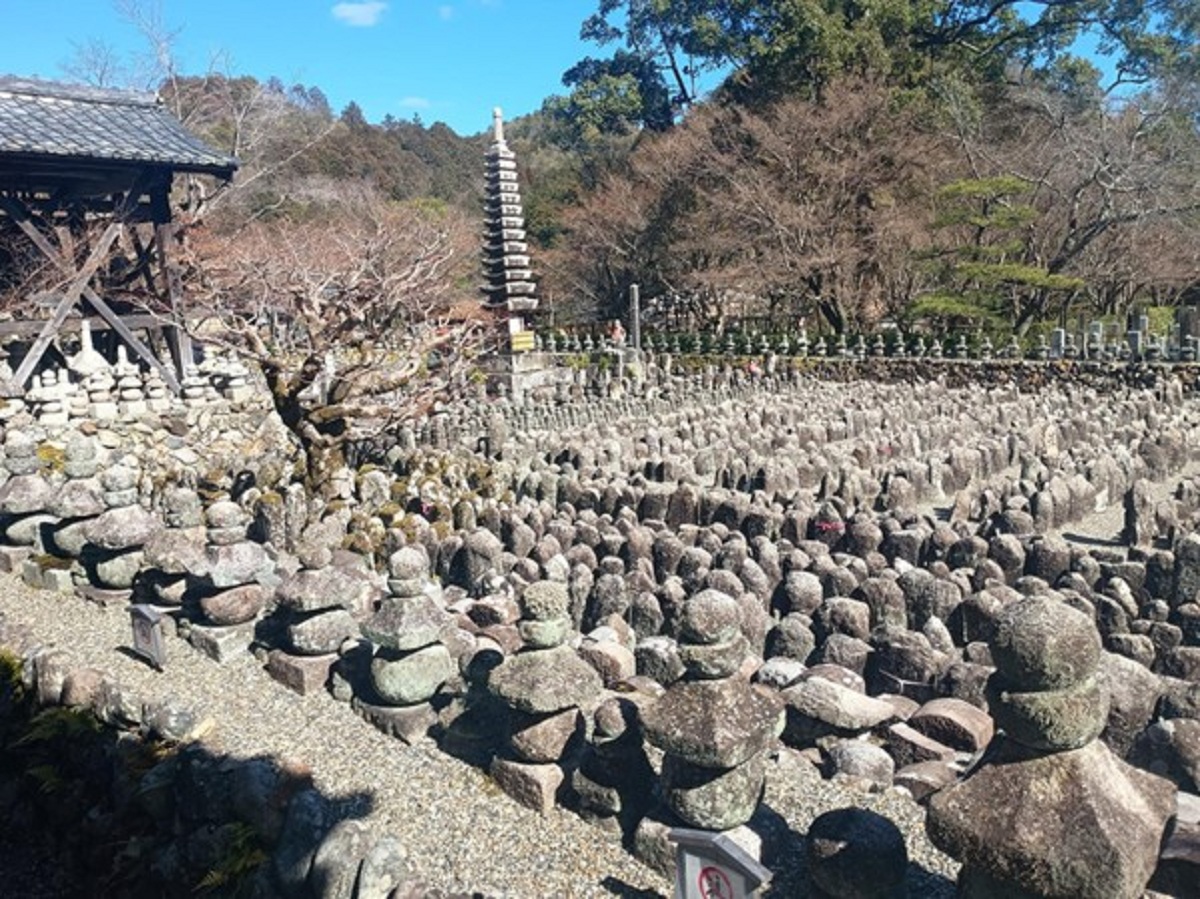 インド先生3月ブログ⑥