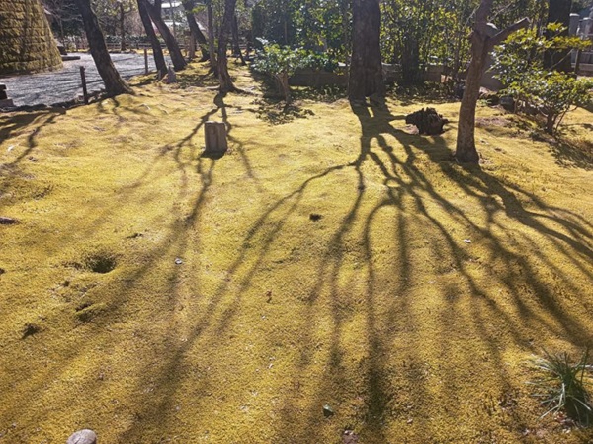 インド先生3月ブログ⑦