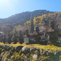 インド先生3月ブログ⑧