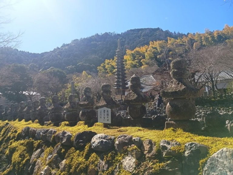 インド先生3月ブログ⑧