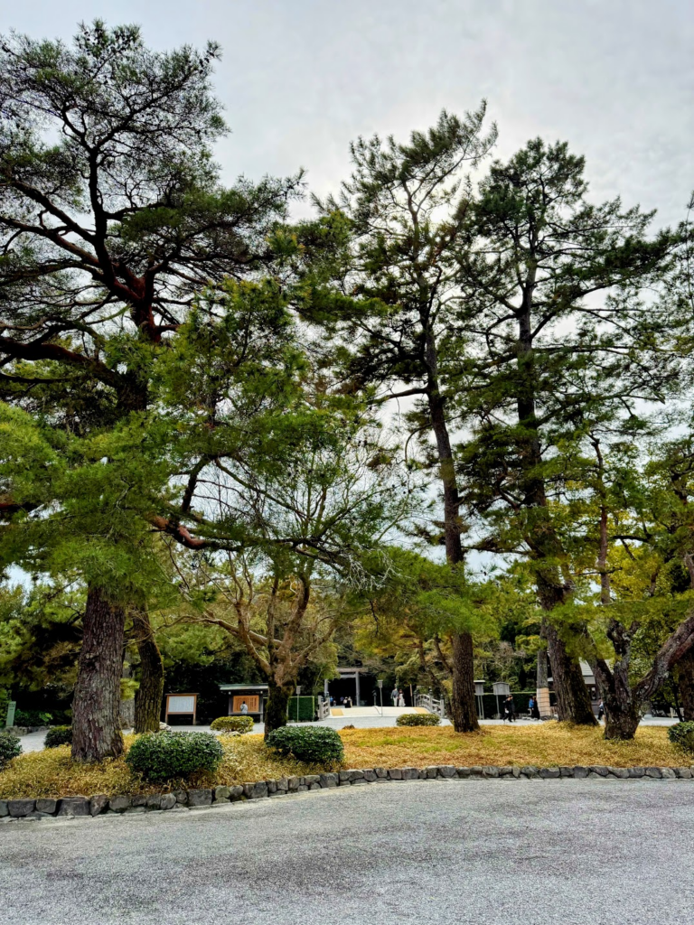 外宮の入り口。鳥居が奥にみえますか？