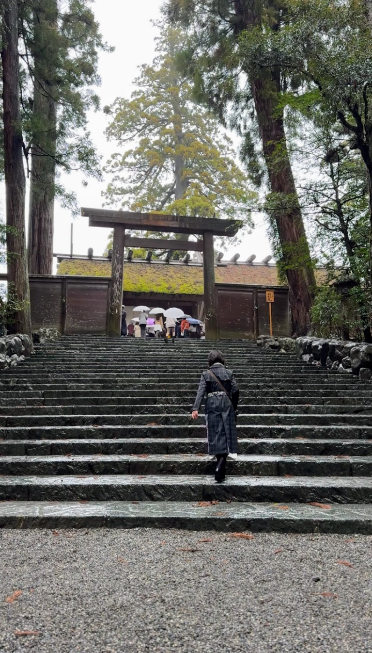 正宮への階段から。鳥居のむこうはお参りの順番を待つ方々であふれています。