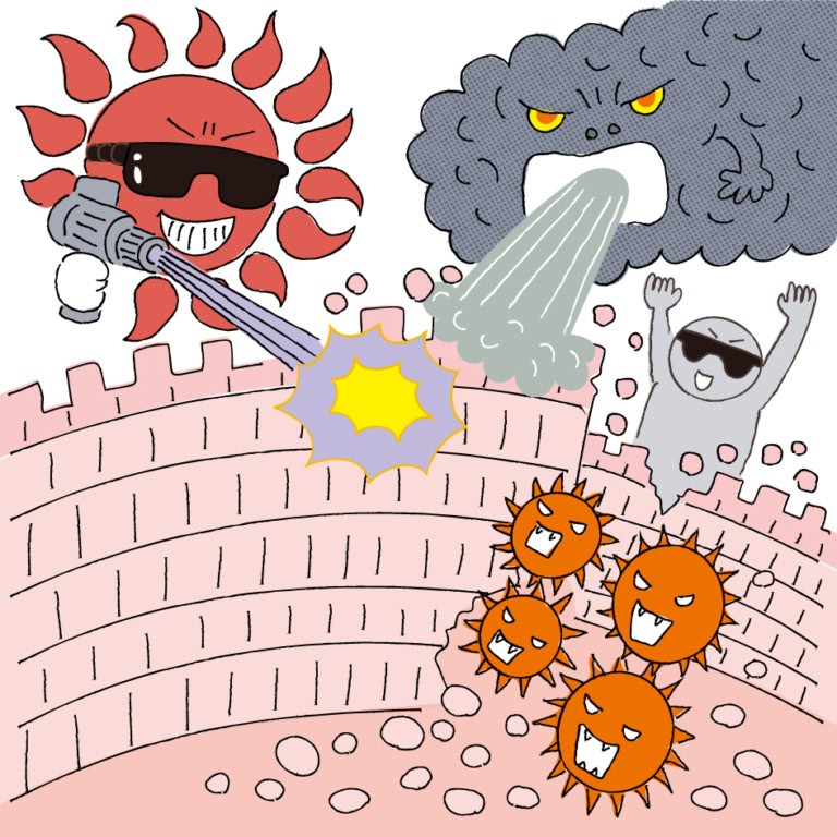 バリア機能を弱める原因に「乾燥」