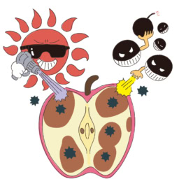 脳の細胞を錆びさせる「活性酸素」