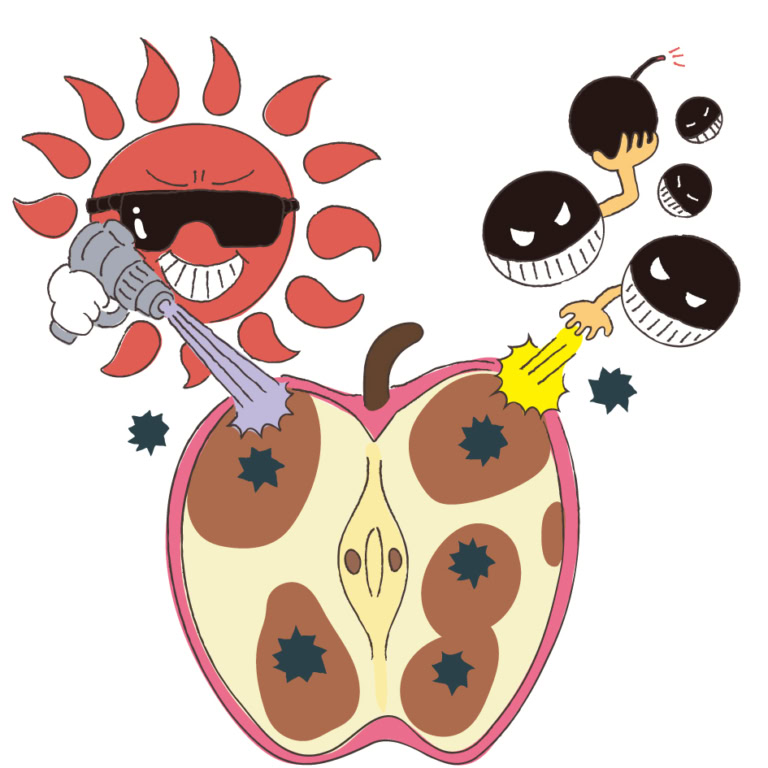 脳の細胞を錆びさせる「活性酸素」