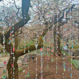  北野天満宮では、蜷川実花さんのイベント「KYOTO NIPPON F ESTIVAL 2026」に遭遇。