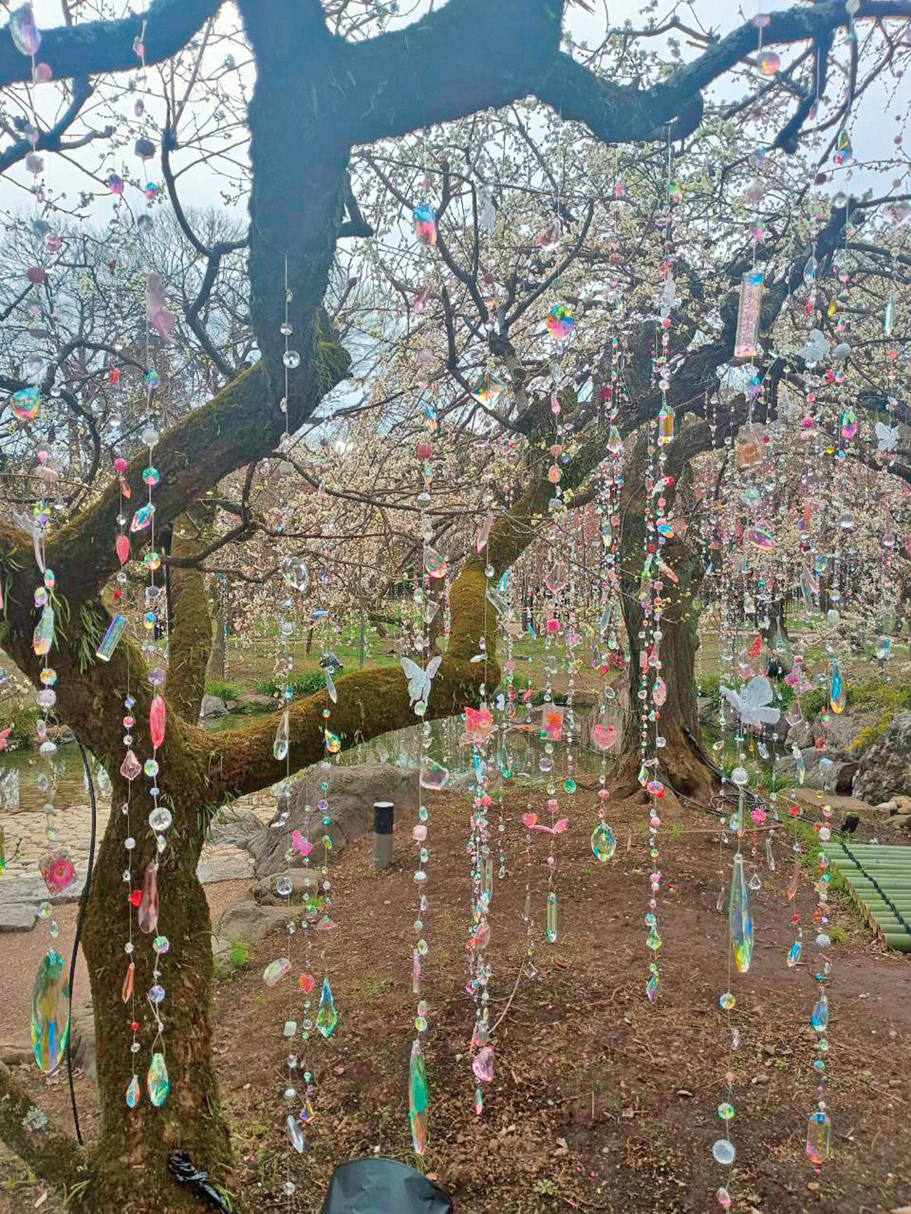  北野天満宮では、蜷川実花さんのイベント「KYOTO NIPPON F ESTIVAL 2026」に遭遇。