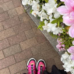 「ケンダルアンドカイリー」のスニーカーサンダル