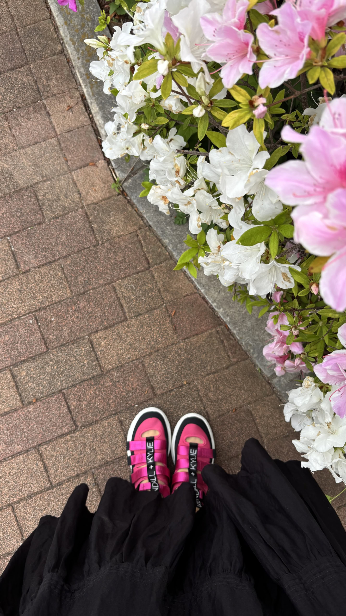 「ケンダルアンドカイリー」のスニーカーサンダル