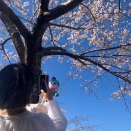 中川由起子さんお花見3