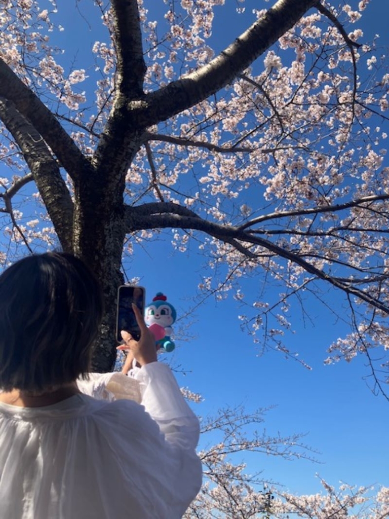 中川由起子さんお花見3