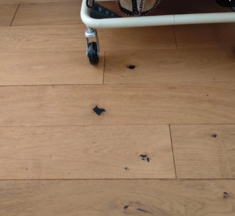 礒部さん4月ブログ2-2