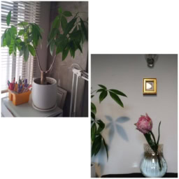 礒部さん４月ブログ5-4