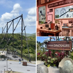 「ジャングリア沖縄」のアトラクション