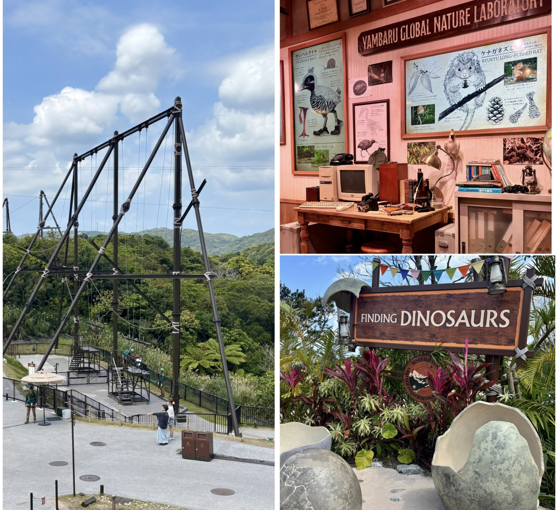 「ジャングリア沖縄」のアトラクション