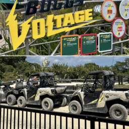 「ジャングリア沖縄」の目玉アトラクション「バギーボルテージ」
