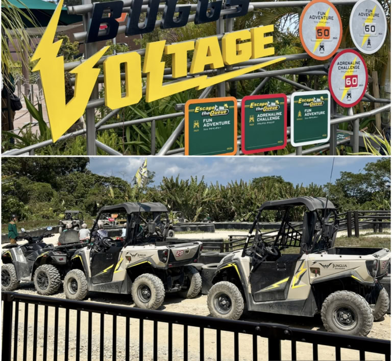 「ジャングリア沖縄」の目玉アトラクション「バギーボルテージ」