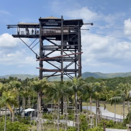 「ジャングリア沖縄」の目玉アトラクション「スカイ フェニックス」