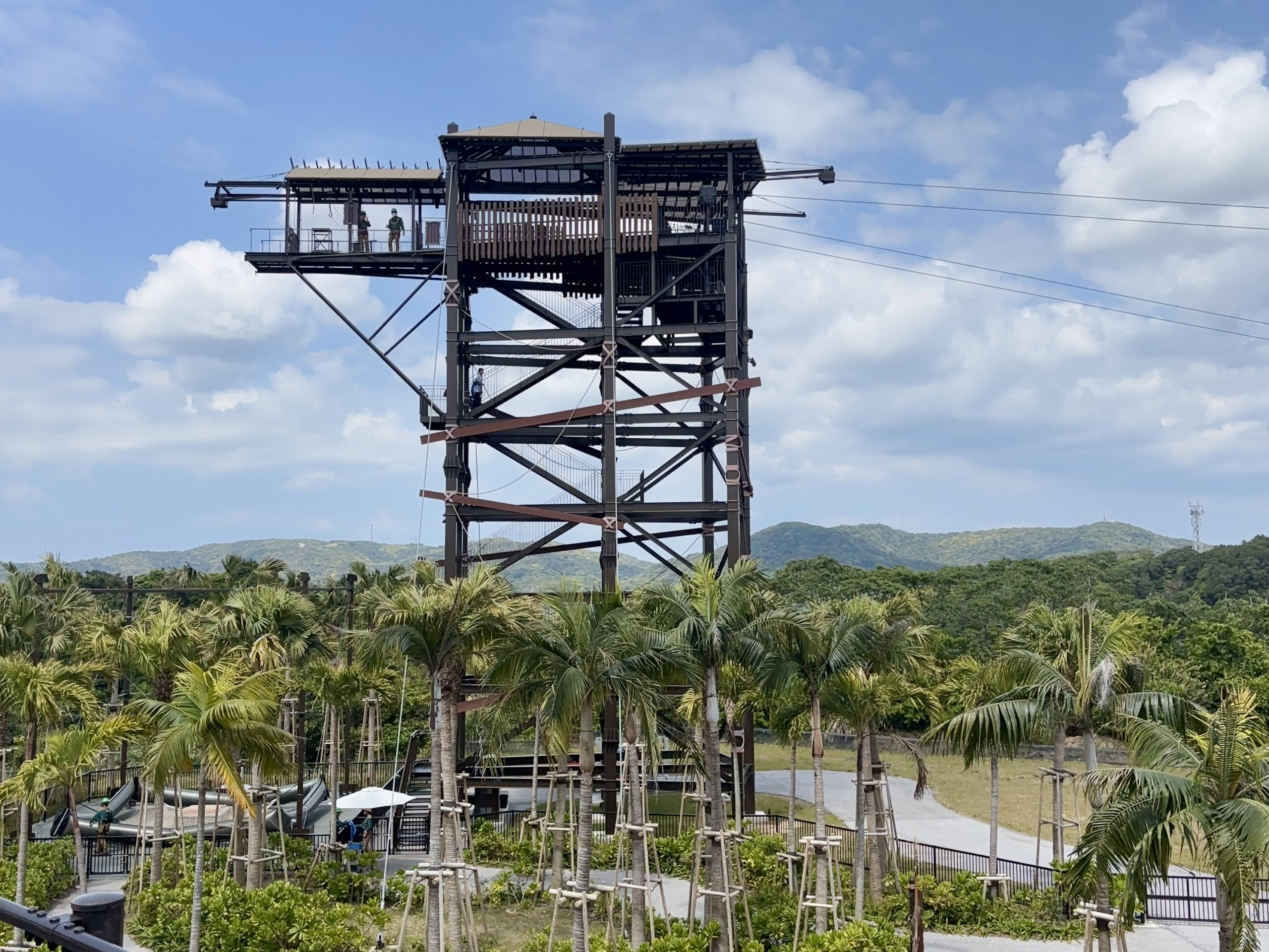 「ジャングリア沖縄」の目玉アトラクション「スカイ フェニックス」