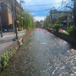 インド先生4月ブログ⑪