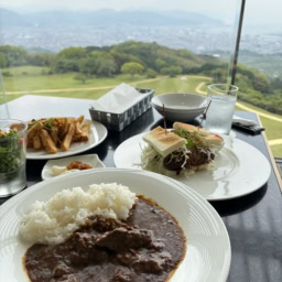 日本平ホテル_カレーランチ