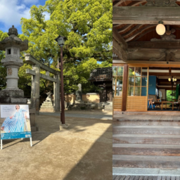 「ヌキテパ」POP UP STOREの会場