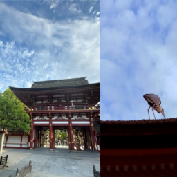 太宰府天満宮の桜門とご本殿へと至る二重門、鷺