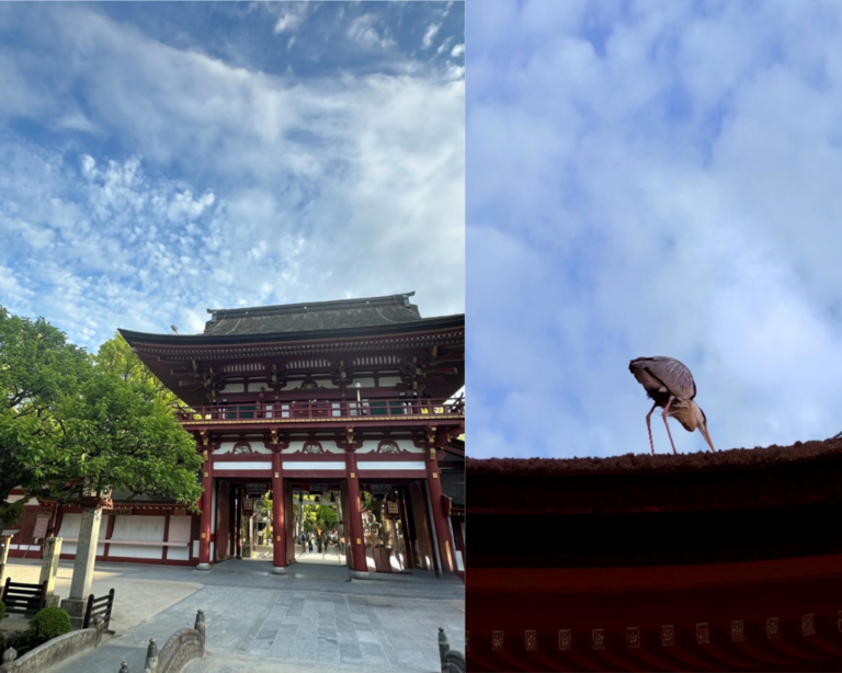 太宰府天満宮の桜門とご本殿へと至る二重門、鷺