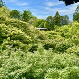 東福寺