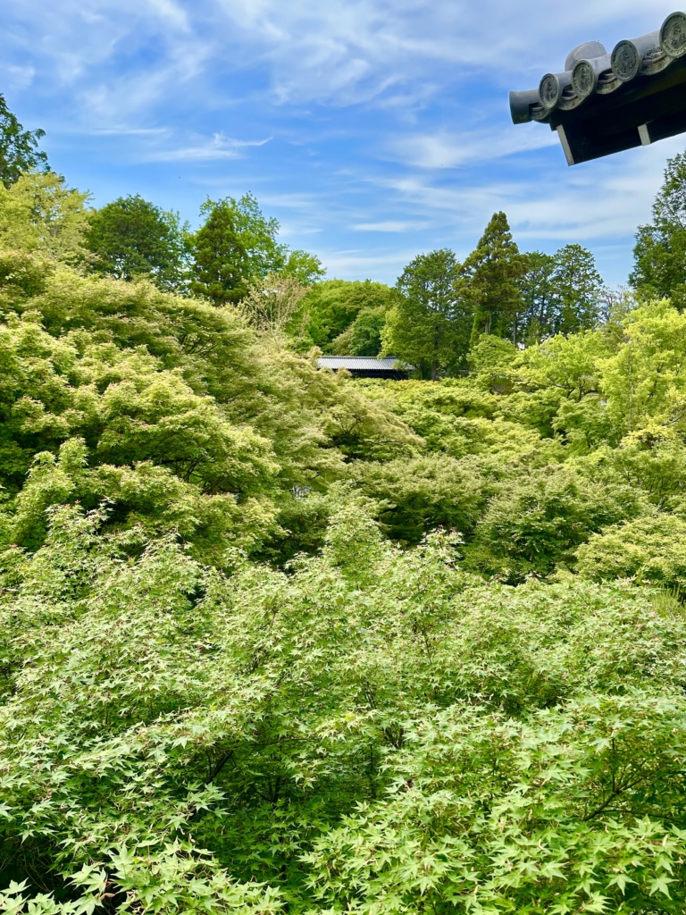 東福寺