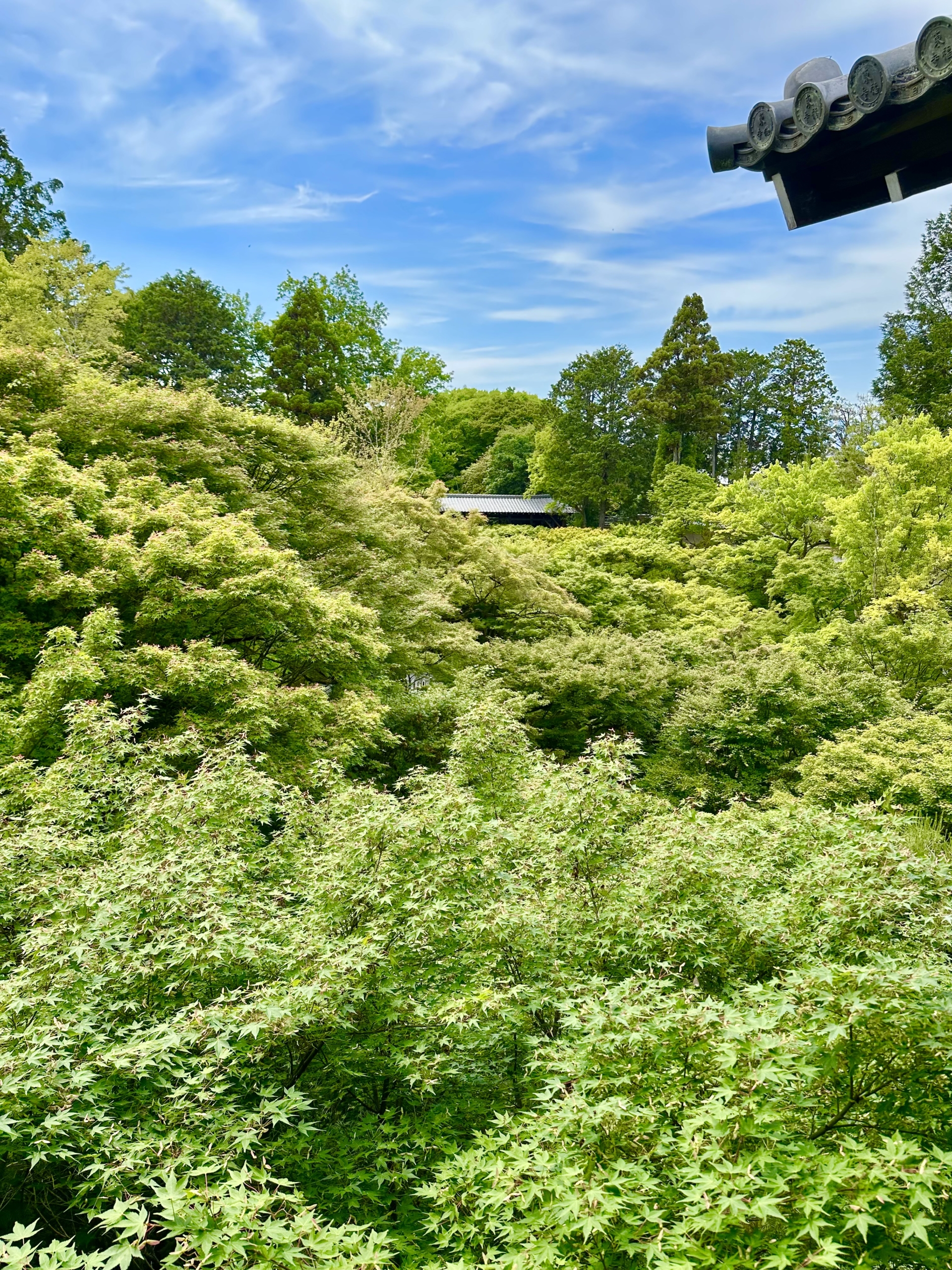 東福寺