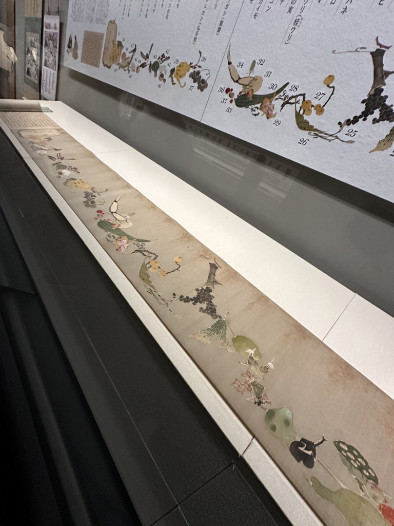 「若冲にトリハダ!野菜もウリ!」_展示作品