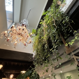 「＋h cafe kamakura」の店内