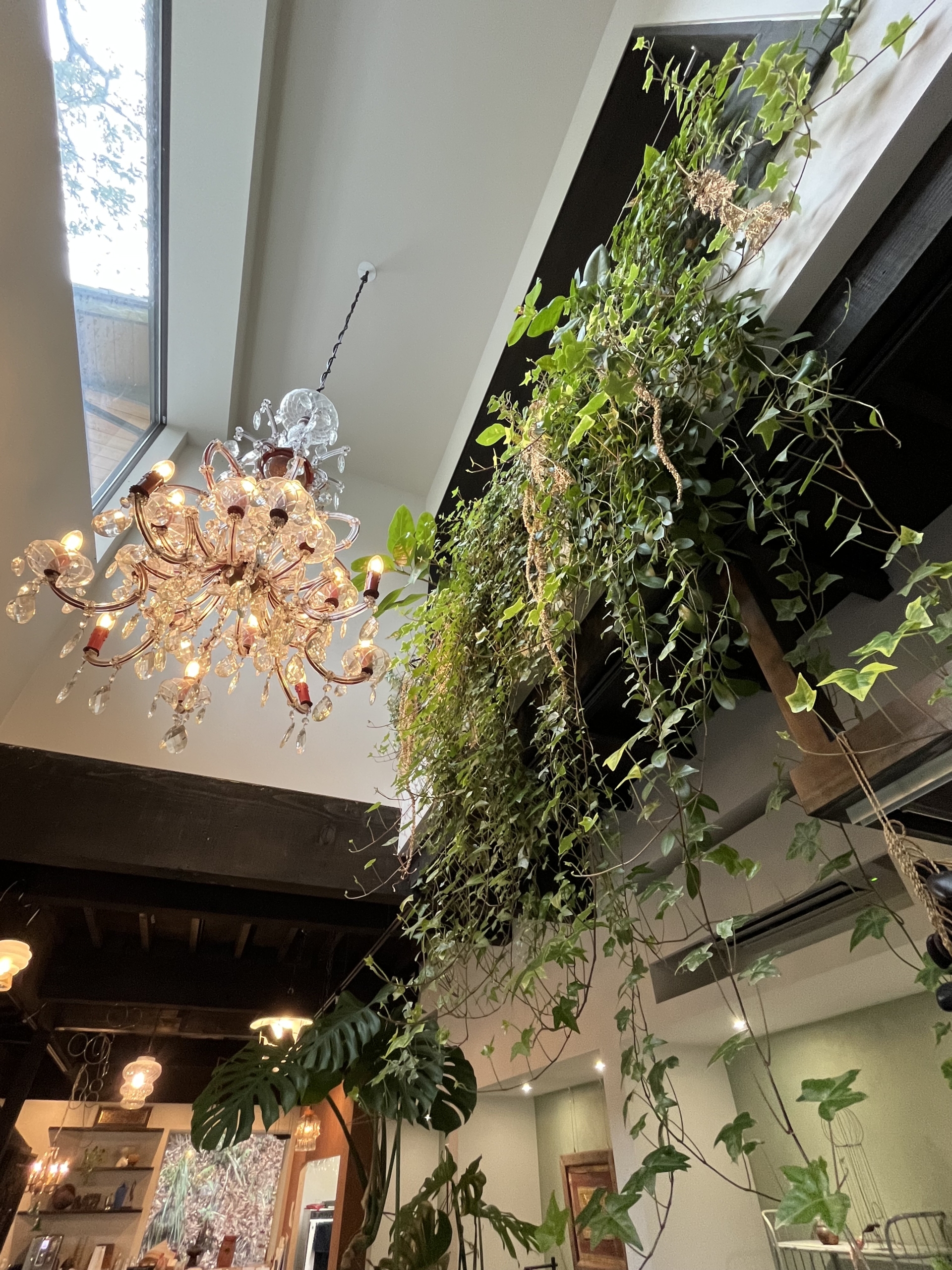 「＋h cafe kamakura」の店内