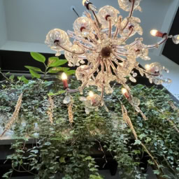 「＋h cafe kamakura」の店内