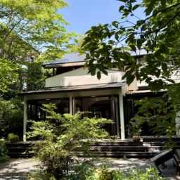 中庭から見たお店の様子