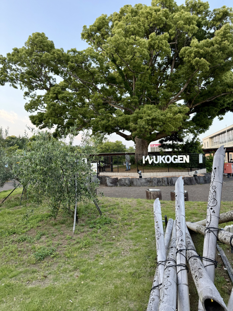 伊豆高原駅　桜並木口の駅前広場