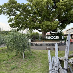 伊豆高原駅　桜並木口の駅前広場